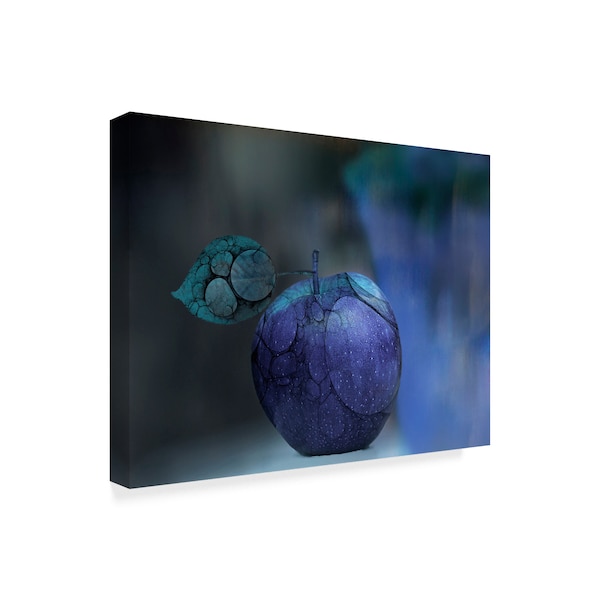 Natalia Baras 'Blue Apple' Canvas Art,24x32